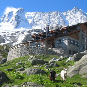 Stavel shelter «F. Denza» | © APT Valli di Sole, Peio e Rabbi