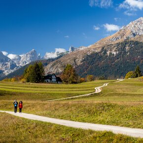 Erster Teil der Wanderung in der Nähe des Ortes Palù | © Visit Paganella