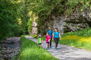 Passeggiata Andalo - Molveno | © APT Dolomiti di Brenta e Paganella