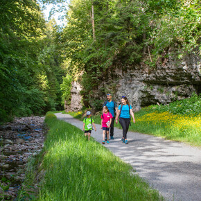 Passeggiata Andalo - Molveno | © APT Dolomiti di Brenta e Paganella