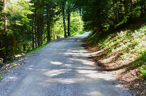 Dosson - Croz del Rasar - Meriz - Sentiero dell'Amore | © APT Dolomiti di Brenta e Paganella