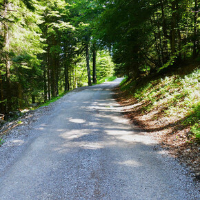 Dosson - Croz del Rasar - Meriz - Sentiero dell'Amore | © APT Dolomiti di Brenta e Paganella