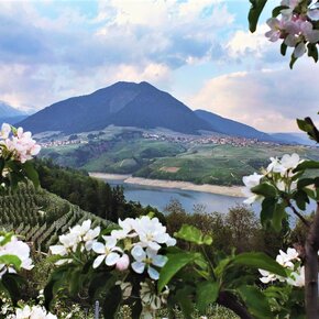 Lago di Santa Giustina | © APT Val di Non 