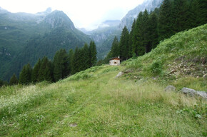 Tour Malga Praino | © APT Madonna di Campiglio, Pinzolo, Val Rendena