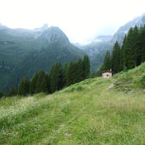 Tour Malga Praino | © APT Madonna di Campiglio, Pinzolo, Val Rendena