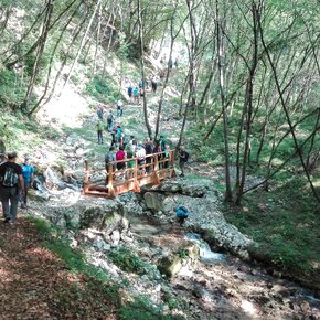 The trail "del Berghem" | © North Lake Garda Trentino 