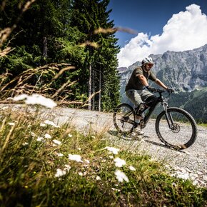 Via Vecchia Trail | © APT Madonna di Campiglio, Pinzolo, Val Rendena