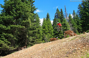 Estate-Doss del Sabion-Pista Tosa-Foto Brenta Bike Rent | © APT Madonna di Campiglio, Pinzolo, Val Rendena