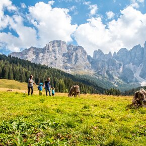 Anello Val Venegia | © APT San Martino di Castrozza