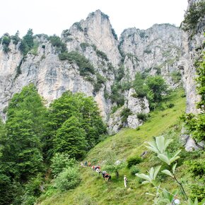 View towards Monte Carone | © Garda Trentino