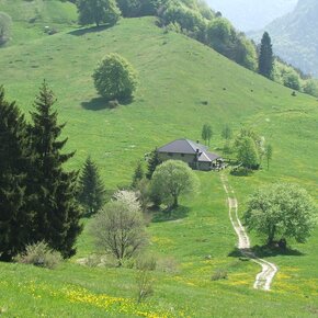 Meadows of Ca' de Mez | © Garda Trentino 