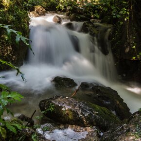Lungo il Massangla prima del Gorg d'Abiss | © Garda Trentino 