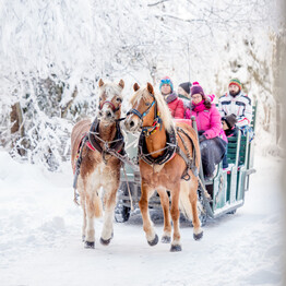 Andalo Life | © APT Dolomiti di Brenta e Paganella