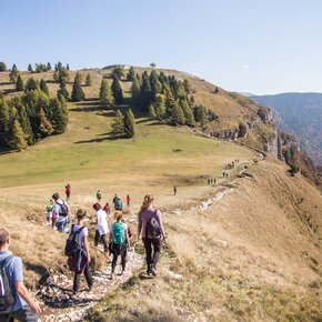 SAT / E136 - Serrada - Forte Dosso delle Somme - Passo Coe | © Azienda per il Turismo Alpe Cimbra
