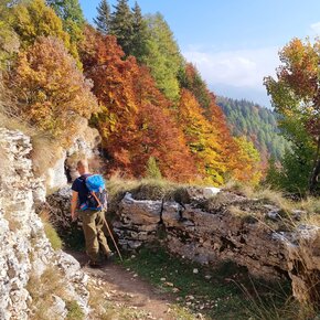 SAT / E137 - Serrada - Forra del Lupo - Forte Dosso delle Somme | © Azienda per il Turismo Alpe Cimbra