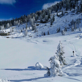 Rolle Pass – Colbricon Lakes | © APT San Martino di Castrozza, Primiero e Vanoi