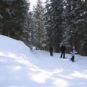 Orti forestali | © APT San Martino di Castrozza, Primiero e Vanoi