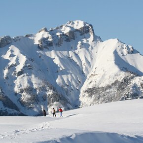 Close-up view of the Bècco di Filadonna from Cherle | © Unknown