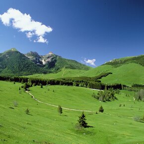 The Tour of the Three Peaks of Monte Bondone - from Cima Verde to Cornetto | © Rete di Riserve Bondone