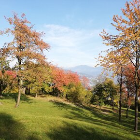 Sardagna - Il Sentiero dei Castagni | © APT Trento 