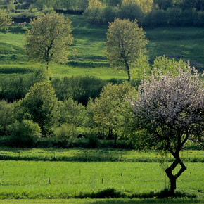 © APT Rovereto Vallagarina Monte Baldo