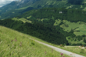 Prà Alpesina - S. Valentino | 1950 | © APT Rovereto Vallagarina Monte Baldo