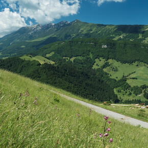 © APT Rovereto Vallagarina Monte Baldo