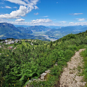 Vason - Palon - Vason (mountain pine path) | © APT Trento 