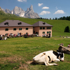 Iuribello Dairy | © APT Val di Fiemme