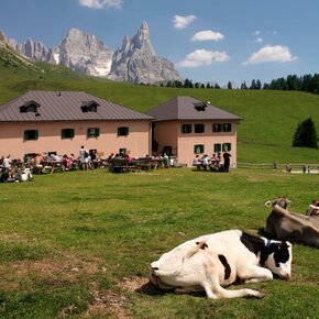 Sennalm Iuribello | © APT Fiemme Cembra