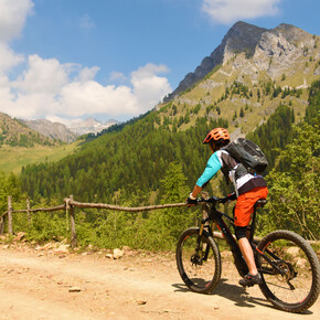 Ribor Wild - 1102 | © APT Madonna di Campiglio, Pinzolo, Val Rendena