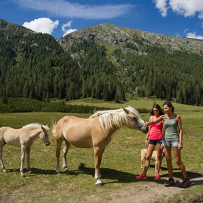 Val di Fumo - Valle del Chiese | © Madonna di Campiglio Azienda per il Turismo 