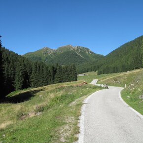 Trekking Val Calamento – Malga Cagnon di Sopra. | © APT Valsugana e Lagorai