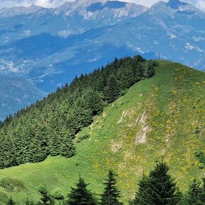 Vaneze - Dos de la Cros - Vaneze | © APT Trento 