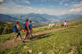 From Rifugio Graziani to Malga Campo | © APT Rovereto Vallagarina Monte Baldo