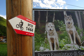 Tour 1444 - Bear no fear, on the trail of the bear | © APT Val di Non 