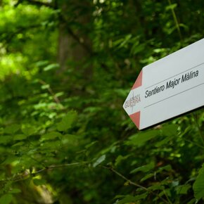 Major Malina Trail - Val Genova - Itineraries of the Great War | © APT Madonna di Campiglio, Pinzolo, Val Rendena