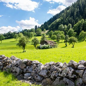 Piana di Caderzone in primavera | © APT Madonna di Campiglio, Pinzolo, Val Rendena