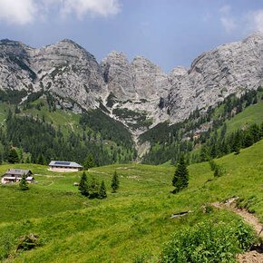 Park2Trek Dolomites - 3rd stage easy | © APT San Martino di Castrozza, Primiero e Vanoi