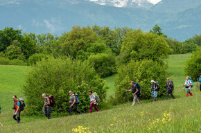 cammino di san vili | © Madonna di Campiglio Azienda per il Turismo 
