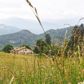 Sant'Anna - Lavè - Sant'Anna | © Rete di Riserve Bondone