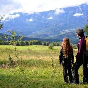 Mezavia - Strada de Mez - Strada della Selva - Mezavia | © APT Trento 