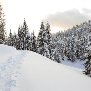 Footprints in the snow | © Garda Trentino