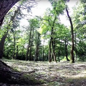 Bosco della Città - Rovereto | © APT Rovereto Vallagarina Monte Baldo