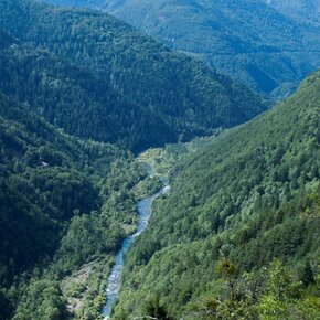 Panorama of the Avisio from the Botanical Path between Grauno and Capriana | © Rete di Riserve Val di Cembra Avisio