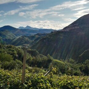 Panorama of the countryside of Segonzano and the Val di Cembra | © Rete di Riserve Val di Cembra Avisio