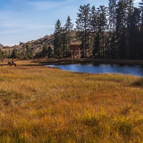 The peat bog of Lago Nero | © Rete di Riserve Val di Cembra Avisio