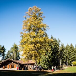 The Potzmauer refuge with the large linden tree | © Rete di Riserve Val di Cembra Avisio