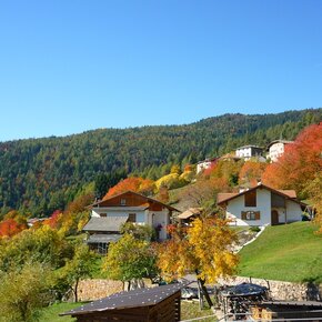 In autunno i masi sono circondati dai colori degli antichi alberi da frutto | © Rete di Riserve Val di Cembra Avisio