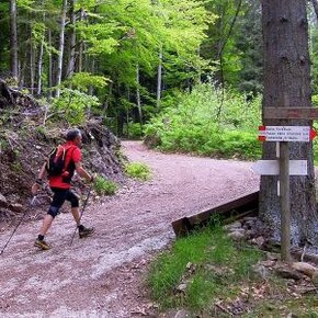 The route around Monte Pincaldo is suitable for those who want to practice Nordic Walking | © Rete di Riserve Val di Cembra Avisio